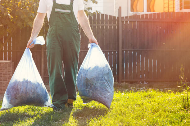 Best Electronics Removal Services  in New Brighton, PA