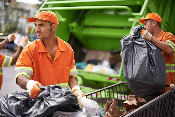 Best Professional Junk Removal  in New Brighton, PA